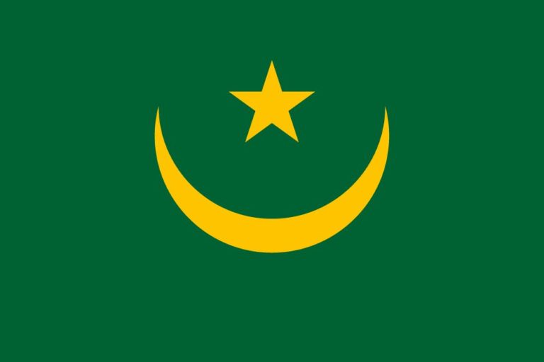 INTERVIEW :   ‘Blanchiment’ ​de l’administration mauritanienne en cours ?