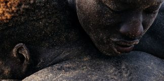 Portrait intimiste, lyrique et poétique de la lutte sénégalaise par un photographe américain