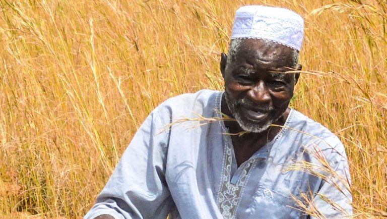 Le prix Nobel alternatif attribué à un paysan burkinabé de 80 ans, «l’homme qui a arrêté le désert»