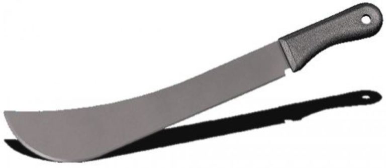 Le Français Philippe G.C tué à la machette à la Somone, les meurtriers retrouvés