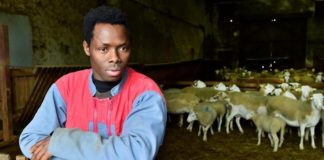 Kekouta, 17 ans, migrant clandestin parti du Mali pour la Gironde, participe à un concours de bergers en France