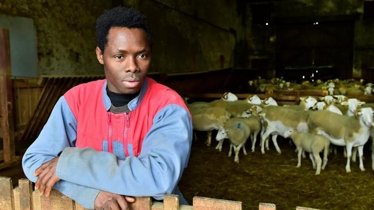 Kekouta, 17 ans, migrant clandestin parti du Mali pour la Gironde, participe à un concours de bergers en France