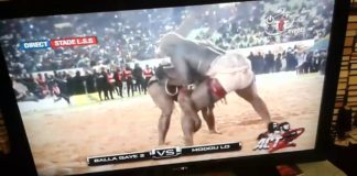 Vidéo : le portage par ngemb net et clair de Balla Gaye qui renverse Lô