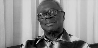 Inventaire des idoles : « Robert Sagna, le vert dans le fruit » (Par Elgas)