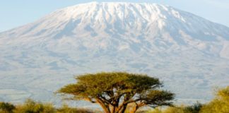 Un téléphérique pour l’ascension du Kilimandjaro par tous ? Projet très contesté du gouvernement tanzanien