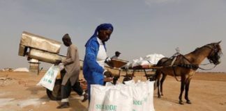 PORTRAIT- Marie Diouf, « Reine du Sel » connaît le succès dans un monde d’hommes