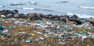 Éradication des sachets plastiques à usage unique : GreenPeace tire les oreilles au gouvernement sénégalais