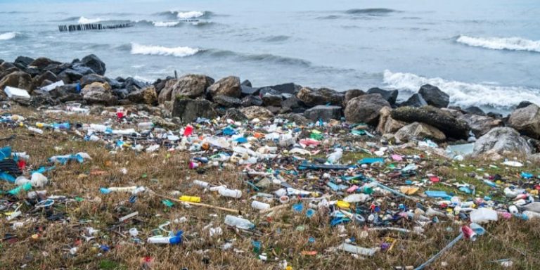 Éradication des sachets plastiques à usage unique : GreenPeace tire les oreilles au gouvernement sénégalais