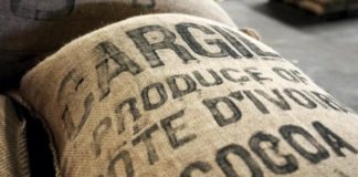 Les deux plus grands pays producteurs mondiaux (et africains) de cacao en suspendent la vente « jusqu’à nouvel ordre »
