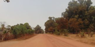 FEUILLETON – Le Retour À Coubanao : « La Route Des Kalounayes » (Épisode 1, par Elgas)