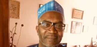 TRIBUNE – La démocratie africaine est une imposture (Amadou Tidiane Wone)