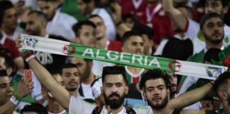 Finale CAN : La fédé algérienne rend l’entrée au stade gratuite pour les supporters algériens !