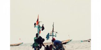 REPORTAGE – Mbour : le marché au poisson et ses « TGV, transports à grande vibration » (charrette et chevaux)