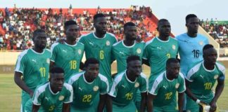 Match amical le 15 octobre : L’adversaire (costaud!) des Lions est connu