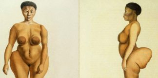 « Expo d’opinions » sur la restitution d’œuvres d’art à l’Afrique
