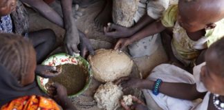 L’Afrique et la vague de faim mondiale : Et le Sénégal dans tout ça ?