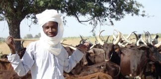 Grand reportage : Les Peulhs et le djihadisme