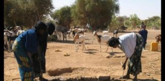 Une fille meurt en se jetant dans un puits