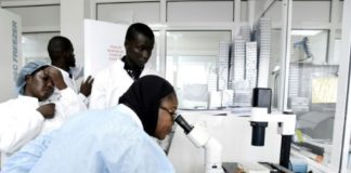 Les scientifiques africains à l’Institut Pasteur de Dakar pour combattre le coronavirus