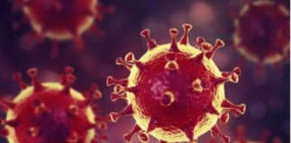 Lutte contre le coronavirus : Les 03 pays africains les plus « innovants »