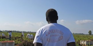 Coron’Agriculture : l’Italie veut régulariser 600 000 sans-papiers pour pallier le manque de main d’œuvre