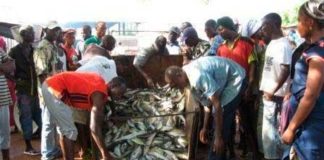 Coronacrise : La pêche artisanale « perd » ses filets
