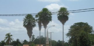 Covid-19 : un site « diagnostiqué » pour cas asymptomatiques à Ziguinchor