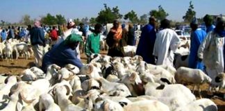 La Tabaski de 2020 sera célébrée vendredi 31 juillet au Sénégal