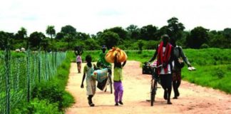 Touba-Tranquille, ce village mouride…en Casamance, disputé par le Sénégal et la Gambie