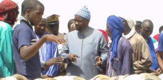 « Acheter tôt son mouton de Tabaski »? : Un conseil du ministre de l’Élevage qui ne sera pas suivi par les Sénégalais