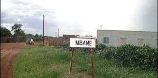 Retour sur un « embargo » agro-sylvo-pastoral à Mbane : Taouey, le pont de la scission entre la Css et les populations / Vidéos