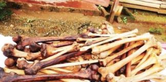 Trafiquants d’ossements humains au Cameroun: le gang voulait vendre le squelette à 15 millions