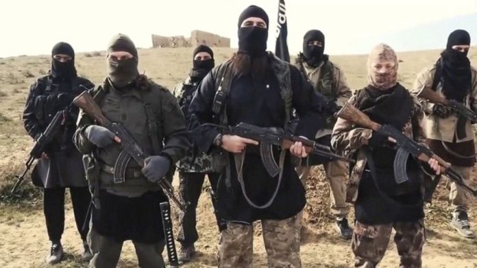 islamistes djihadistes