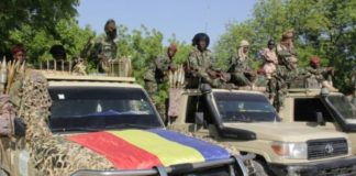 Tchad: six soldats tués dans une embuscade de Boko Haram