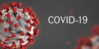 Le mot de l’année: Covid-19, un nom mutant « masculin-feminin »