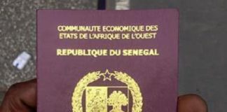Renouvellement de passeports : L’arrivée d’une mission bissau-guinéenne ravive la colère des Sénégalais résidant en Russie.