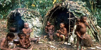 Au Congo RDC, génocide de Pygmées, tués par dizaines