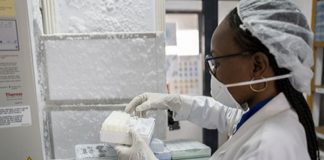 Covid-19 au Sénégal: 295 nouveaux tests positifs, 9 décès, 61 cas graves en réanimation
