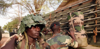 Casamance : à nouveau la guerre, l’armée aidée de la Guinée-Bissau reprend des bases rebelles