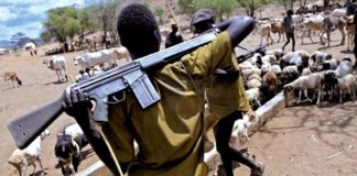 35 morts : Au Tchad, conflit meurtrier entre communautés
