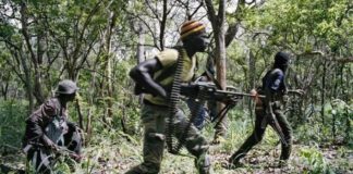 Cette guerre discrète en Casamance…
