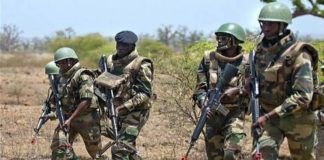 Casamance : échanges de tirs entre militaires et individus armés
