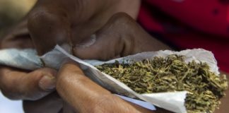3 dealers de chanvre indien tombent à Cambérène