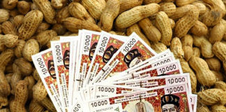 Le gouvernement Sall interdit l’exportation de l’arachide, marché chamboulé par les Chinois