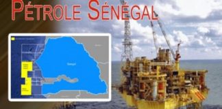 Pétrole sénégalais : Encore Franck Timis ! Bras de fer entre le gouvernement Sall et sa société PetroNor