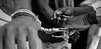 Ndéwénel – Korité : Macky Sall a libéré 551 prisonniers