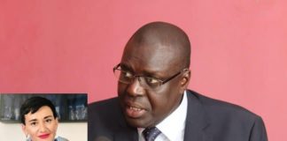 L’ambassadrice de l’Union Européenne au Sénégal est raciste et islamophobe, selon Boubacar Séye (ONG Horizons sans frontières)