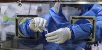 Coronavirus : le redouté variant indien détecté en Gambie