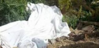 Découverte macabre à Baïla : les restes d’un enfant retrouvés, 7 mois après sa disparition