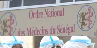 Guérisseur à tout-va au Sénégal : la « colère-remède » de l’Ordre des médecins